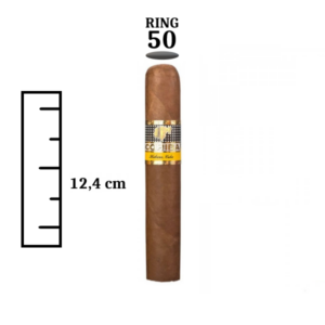 Cohiba Robustos